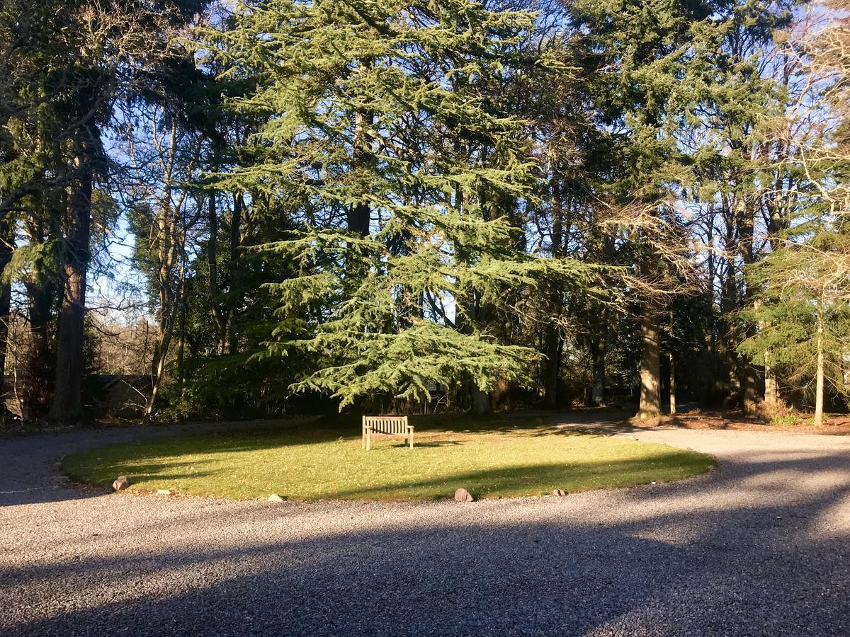 Drumdevan Country House, Inverness Exteriör bild